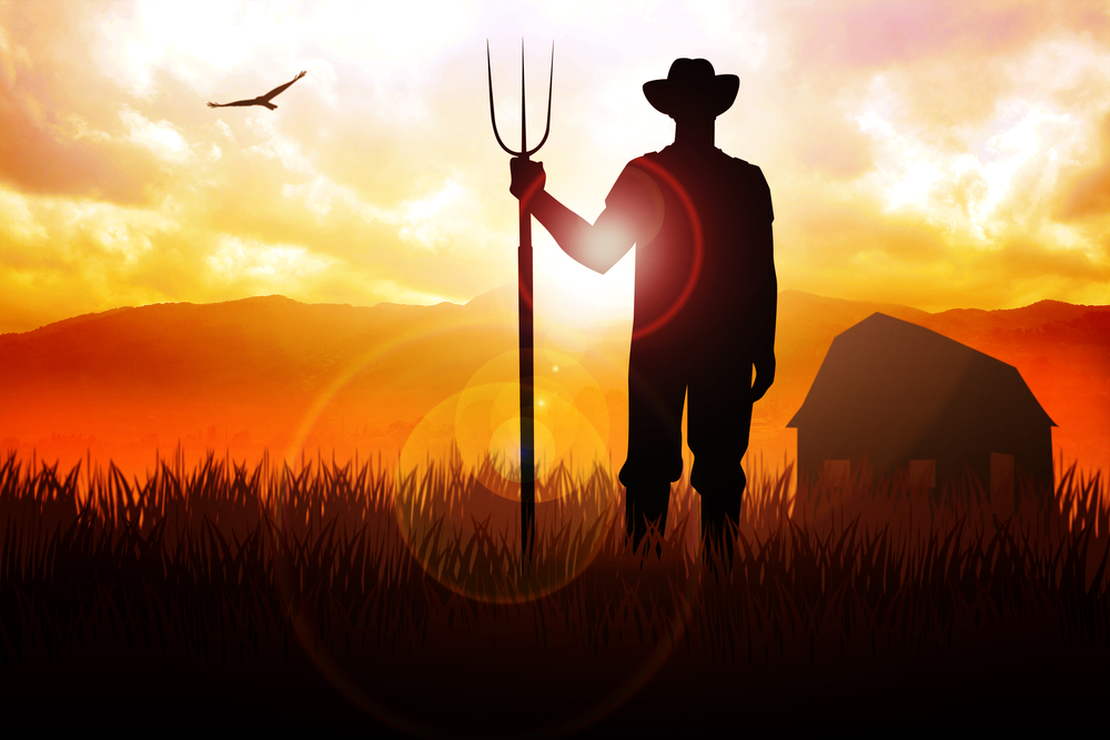 Αγρότες: Βεβαίωση επαγγελματία - Διαδικασία για την έκδοση. 